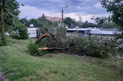 МЧС предупреждает о ливнях, грозах, граде и сильном ветре