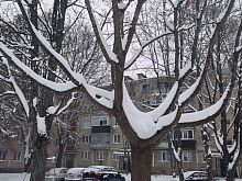 В Курской области ожидаются дождь и мокрый снег