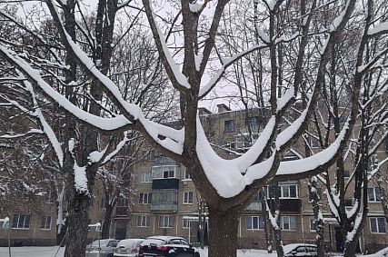 В Курской области ожидаются дождь и мокрый снег