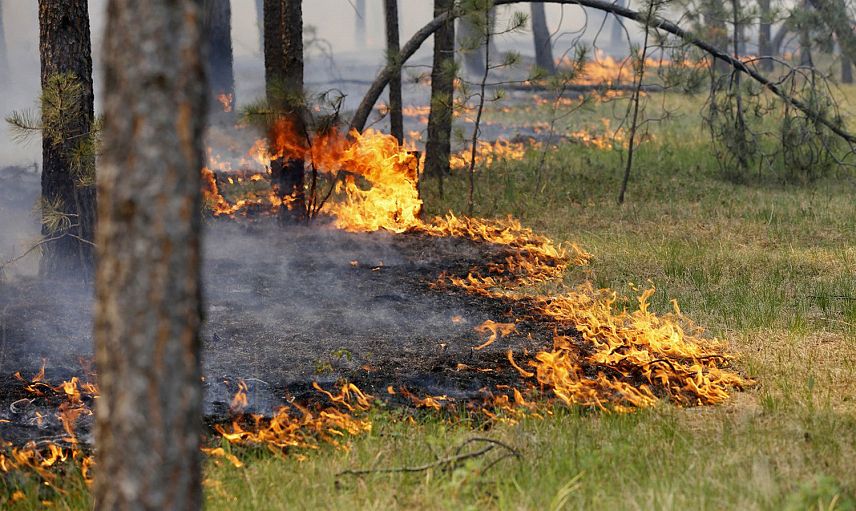 В Курской области прогнозируется третий класс пожарной опасности