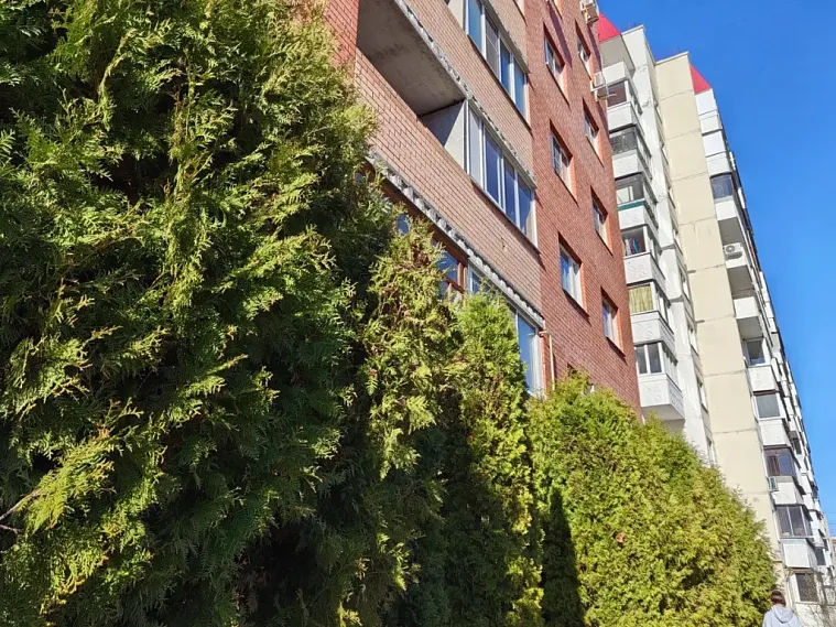 Рынок или искусственный ажиотаж: стремятся ли цены на жильё в Железногорске к подмосковным