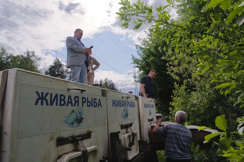 В Копёнское водохранилище выпустили более тонны рыбы