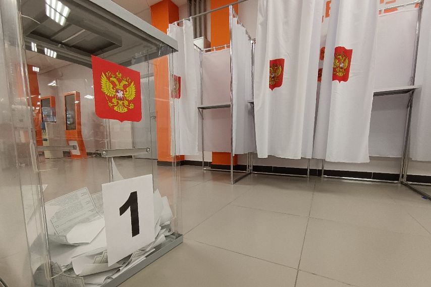 Дистанционное электронное голосование на выборах губернатора Курской области применяться не будет 