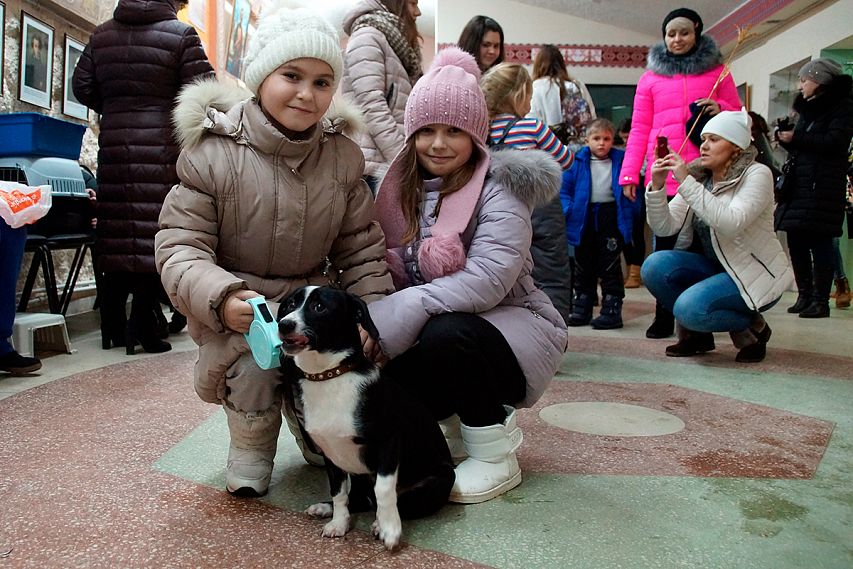 «Ярмарка добра». В Железногорске активисты группы помощи бездомным животным верят, что чудеса случаются и активно этому способствуют