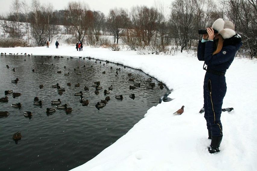 19 февраля в России отмечается День орнитолога