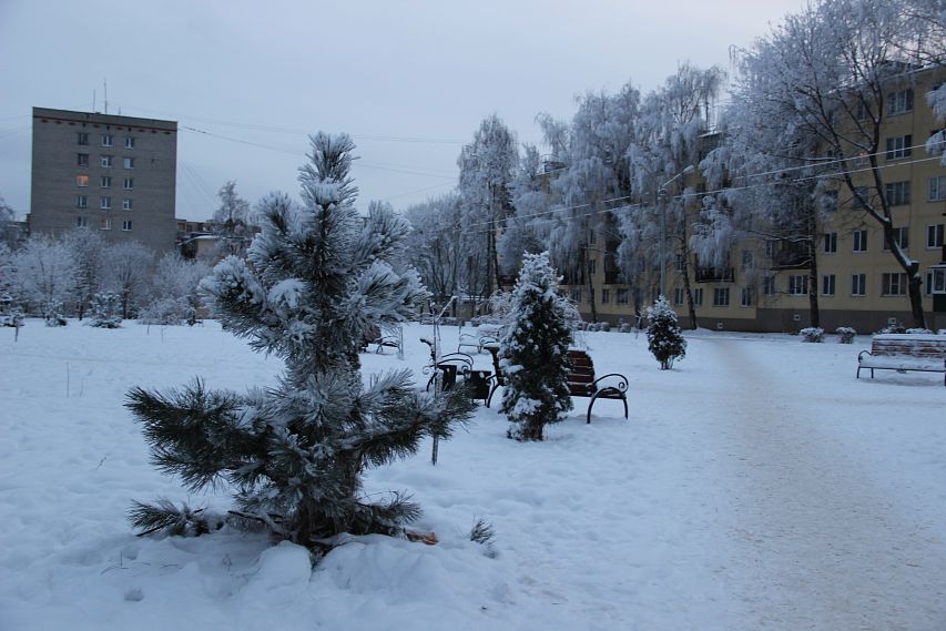 Сегодня в Курской области ожидаются мороз и туман 