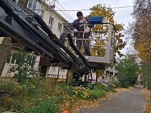 Два дня на холоде, под дождём, без еды и воды: в Железногорске спасли кошку Марси