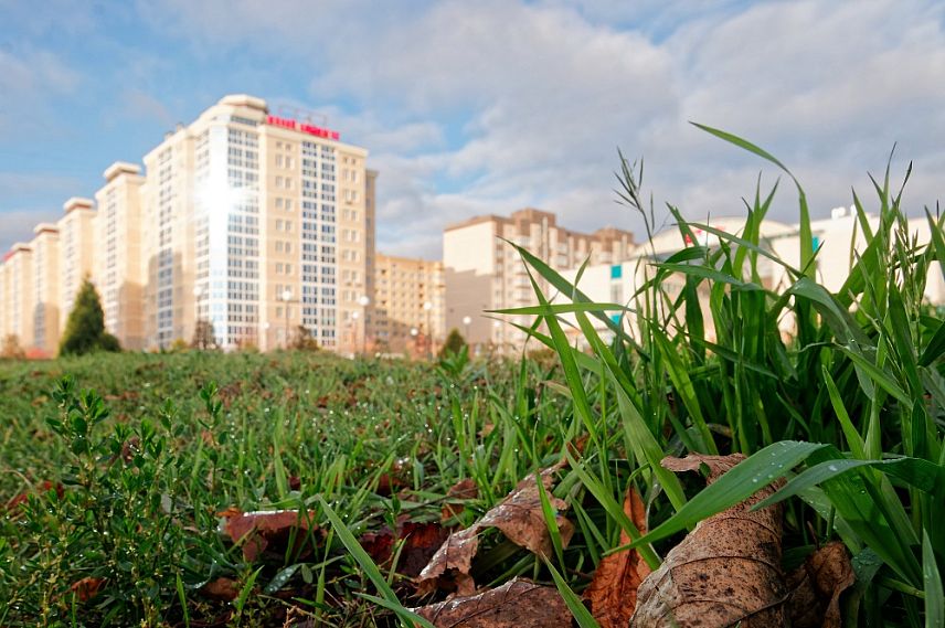В Железногорске началась декада по уборке и благоустройству территории города