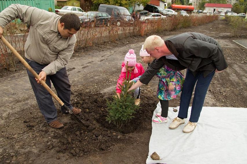 В Железногорске в День города посадили деревья 
