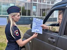 На железногорских дорогах усиливают контроль за водителями
