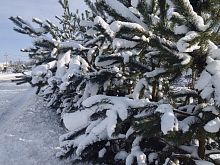 В Рождественский сочельник Железногорск засыпало снегом