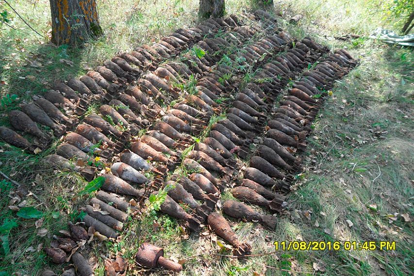 Поисковики обнаружили в Поныровском районе арсенал боеприпасов времен Великой Отечественной войны
