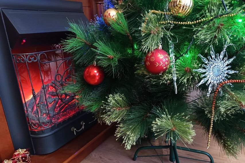 В Железногорске малыш пострадал от возгорания новогодней ёлки