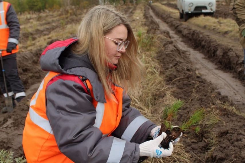 Более 16 гектаров новых лесов появились в регионе благодаря экологической программе Металлоинвеста 