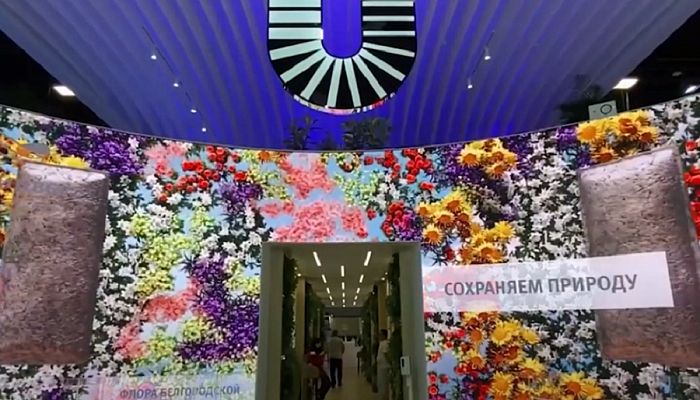 Центр притяжения. Курская область от 23.06.2022