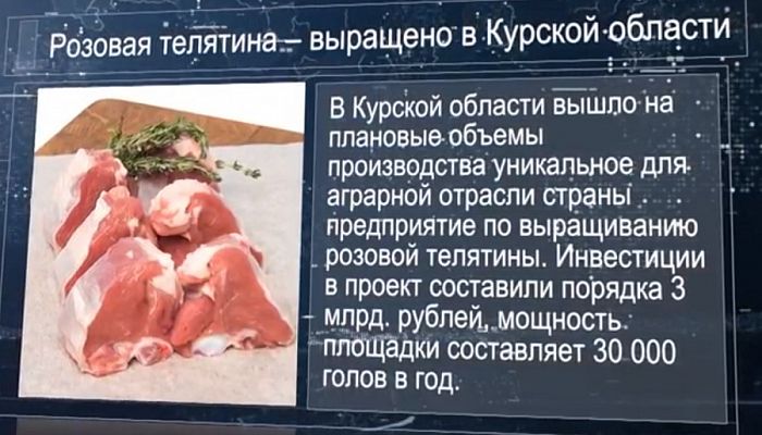 В Курской области выращена розовая телятина и открыт современный центр обработки семян