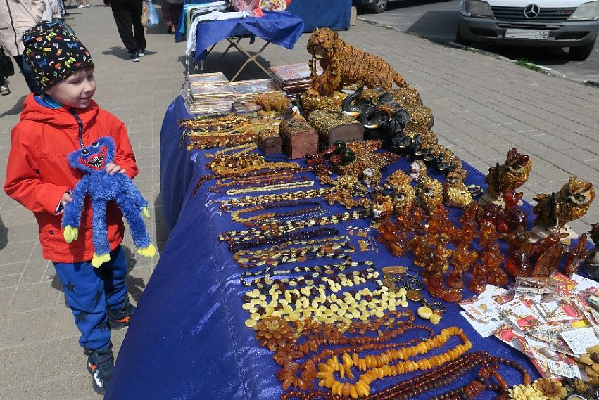 В Железногорске открылась межрегиональная ярмарка