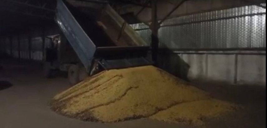 В Железногорске полицейские задержали троих подозреваемых в краже 6 тонн сои